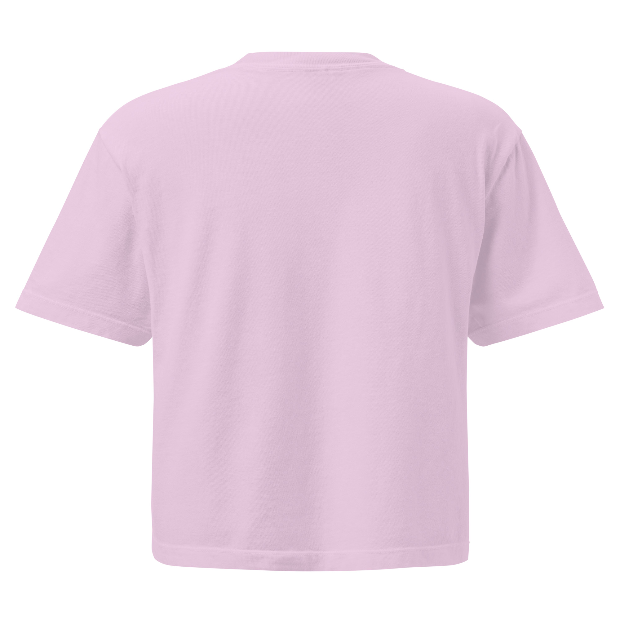 Women’s heavyweight boxy tee - Image 11